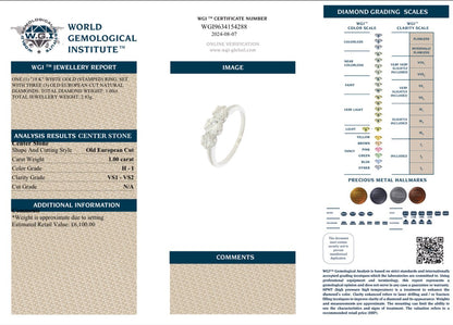 1 Carat Old European Cut Diamond Trilogy Ring in 18K White Gold - WGI Valuation £6,100 - Flamingo Gems