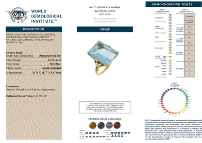 22.70ct Natural Aquamarine in 18ct Gold - WGI Certificate £13,500 - Flamingo Gems